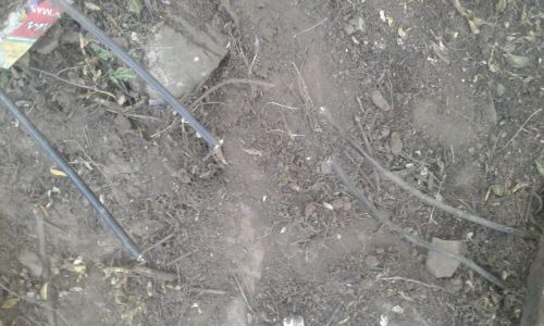 Repudiamos el sabotaje sufrido por Canal 7, Multivisión y la radio de Nuevo Diario de Salta