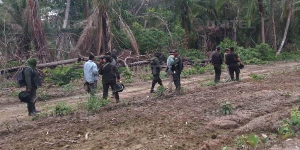 Avasalladores de tierra vuelven a  amenazar a periodistas en Bolivia