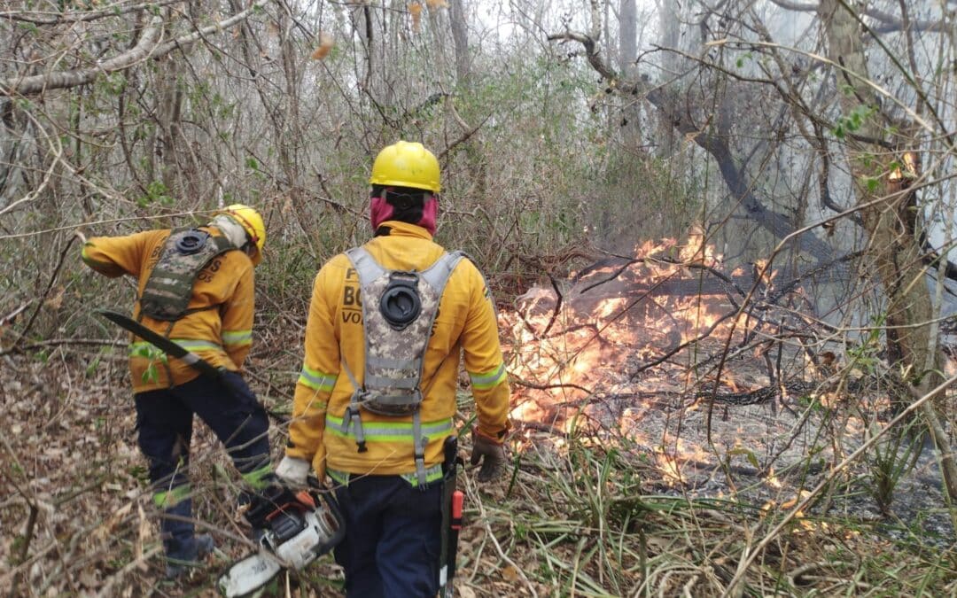 Periodistas defensores de medio ambiente excluidos de RRSS de Gobernación cruceña