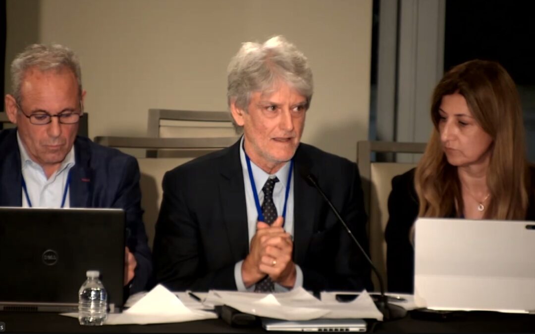 CIDH evalúa misión en Argentina tras audiencia de FOPEA y otras organizaciones